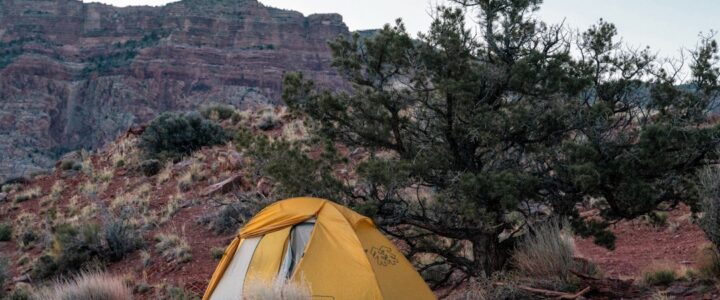 Oplev de Bedste Campingpladser i Danmark